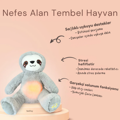 Nefes Alan Rahatlatıcı Tembel Hayvan